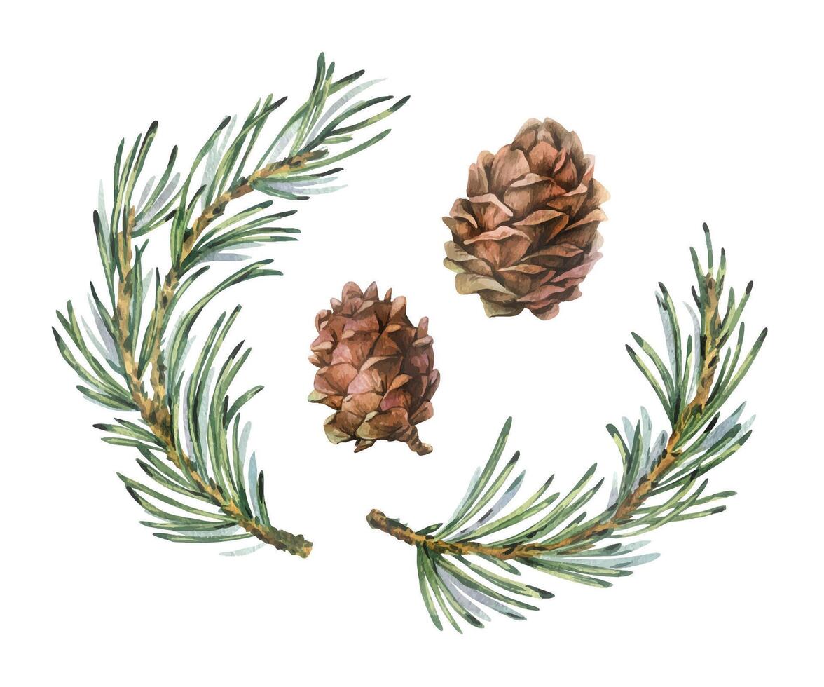 Watercolor hand-painted winter pine and cones collection. Minimal and elegant clipart set for seasonal prints, packaging, and invitations. New year 2026 Christmas Illustration vector