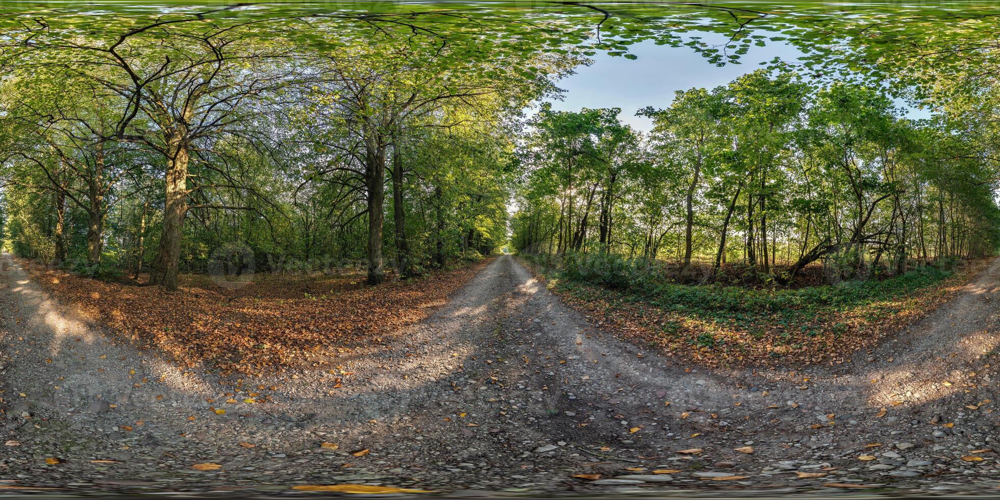 A 360 degree view of a road in the woods photo