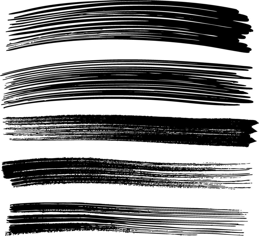 A set of hand-drawn brush strokes with a curved, dynamic shape. vector
