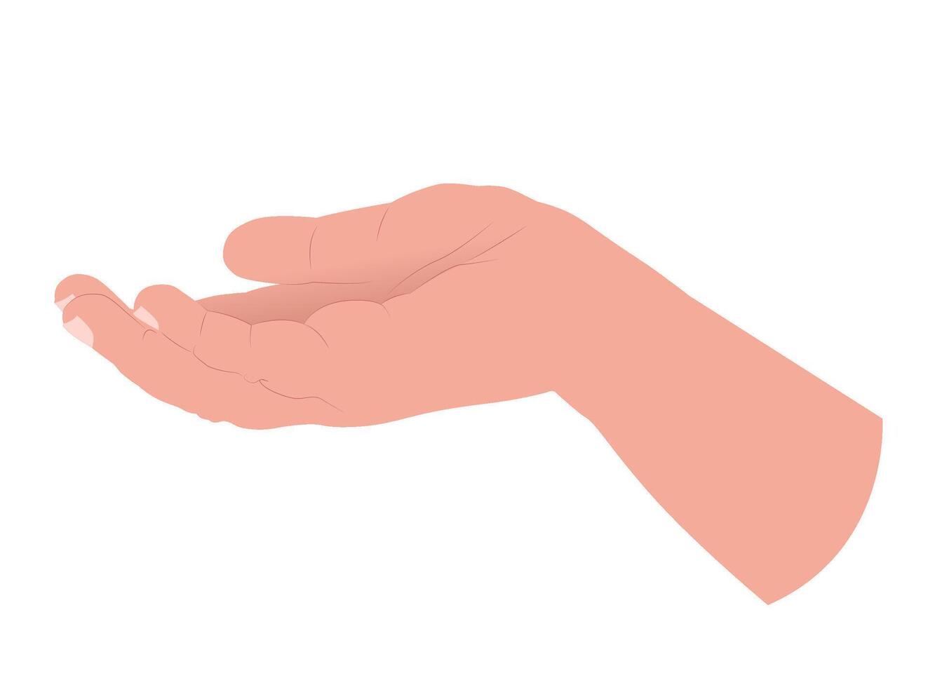 Open child hand illustration in a minimalistic graphic style on white background. vector