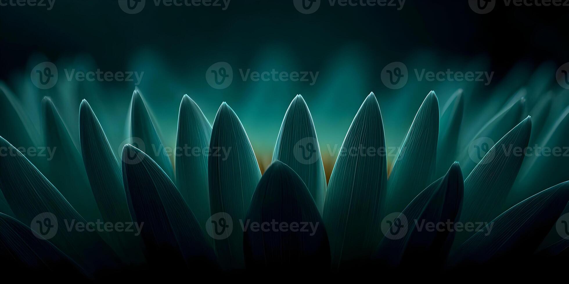 Teal Flower Petals Close Up Macro Photography Dark Background photo