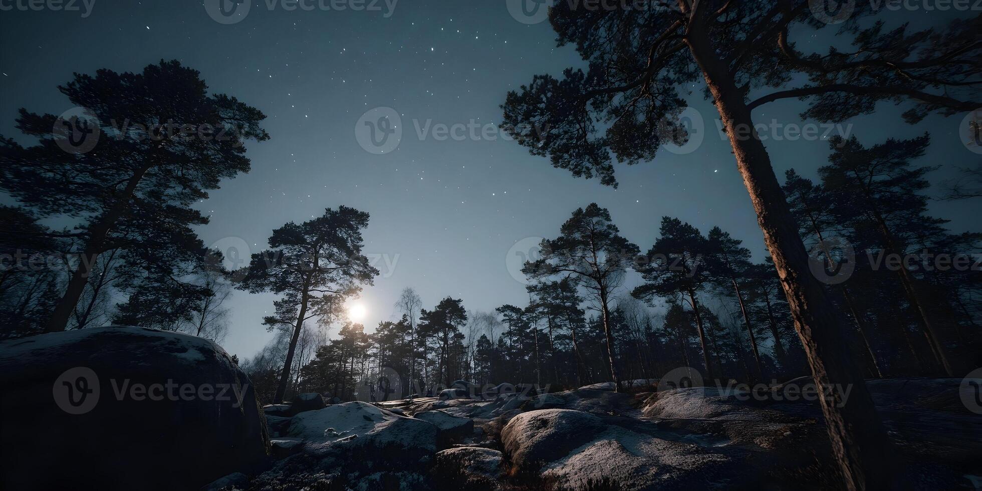 Night Forest Scene Snow Covered Rocks Pine Trees Moon Stars photo