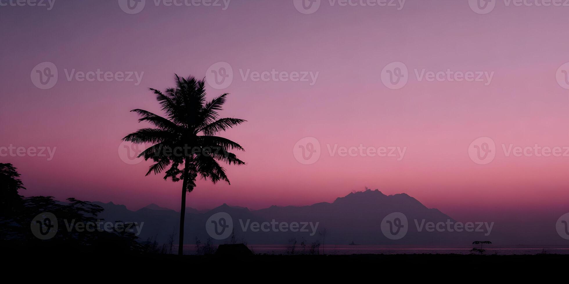 Silhouette Palm Tree Tropical Sunset Landscape Mountains Seascape photo