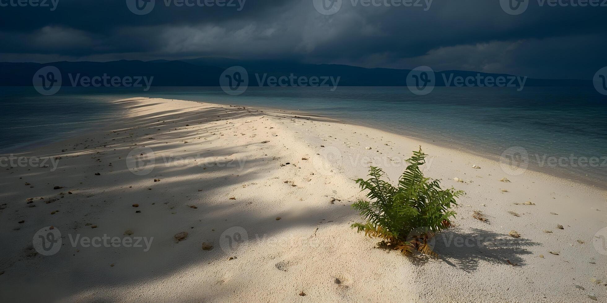 Tropical Island Beach Scene with Fern Plant and Dramatic Sky photo