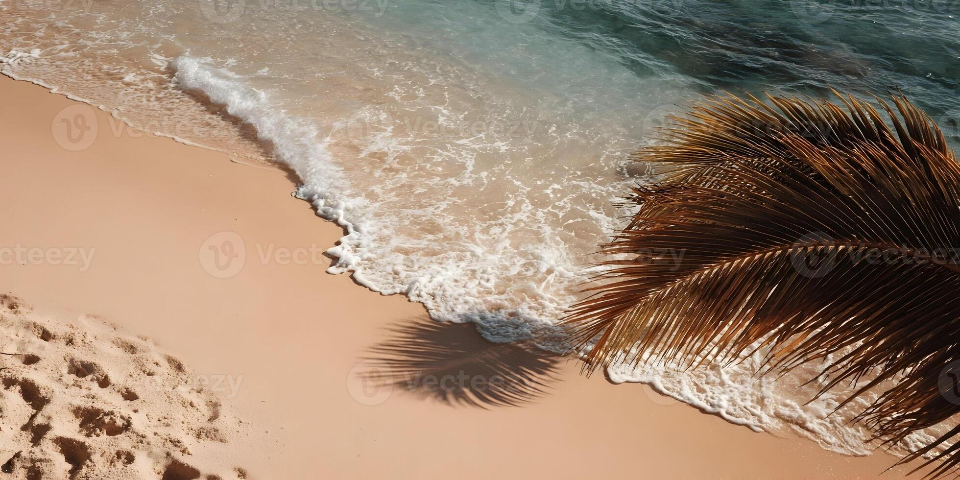 Palm frond swaying above sandy tropical beach with ocean waves photo