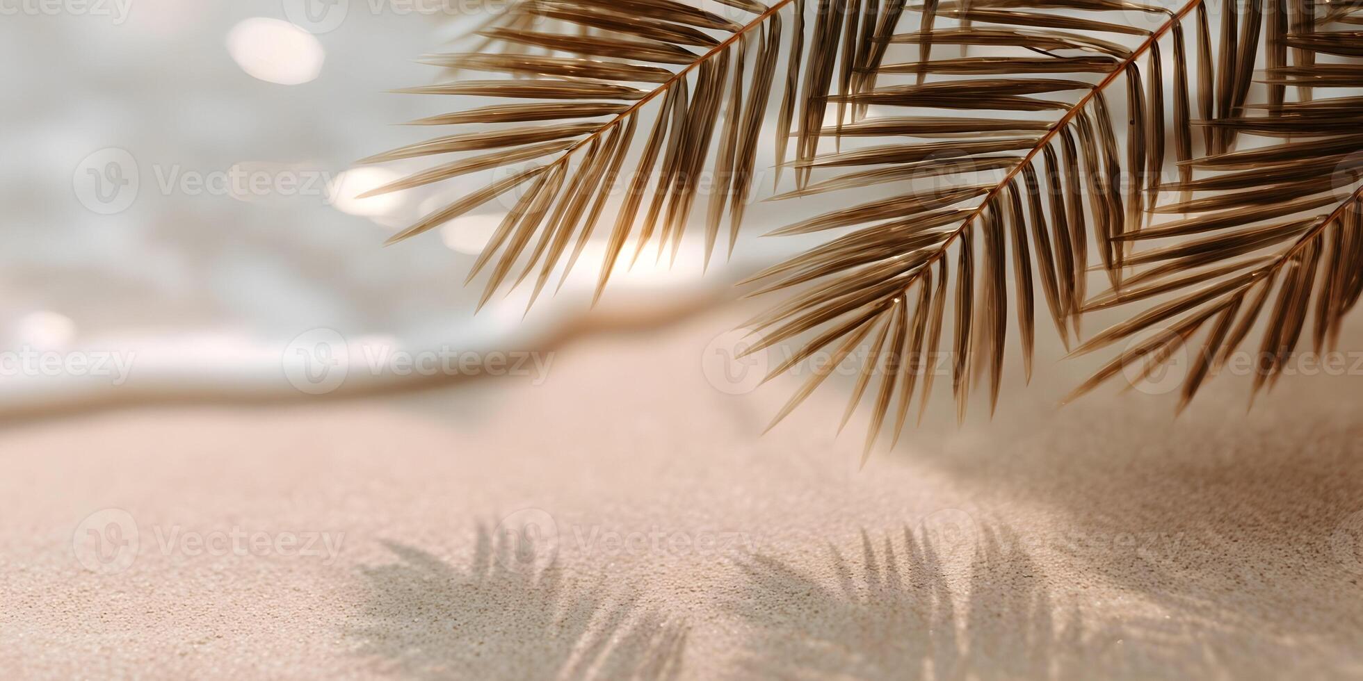 Palm Leaves Shadows Beach SandSummer Sunlight Minimalist Background photo