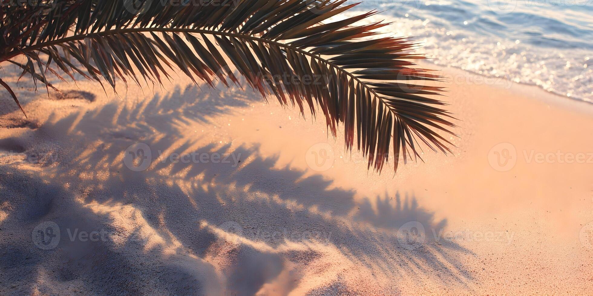 Palm Leaf Shadow on Sandy Beach Ocean Wave Background photo