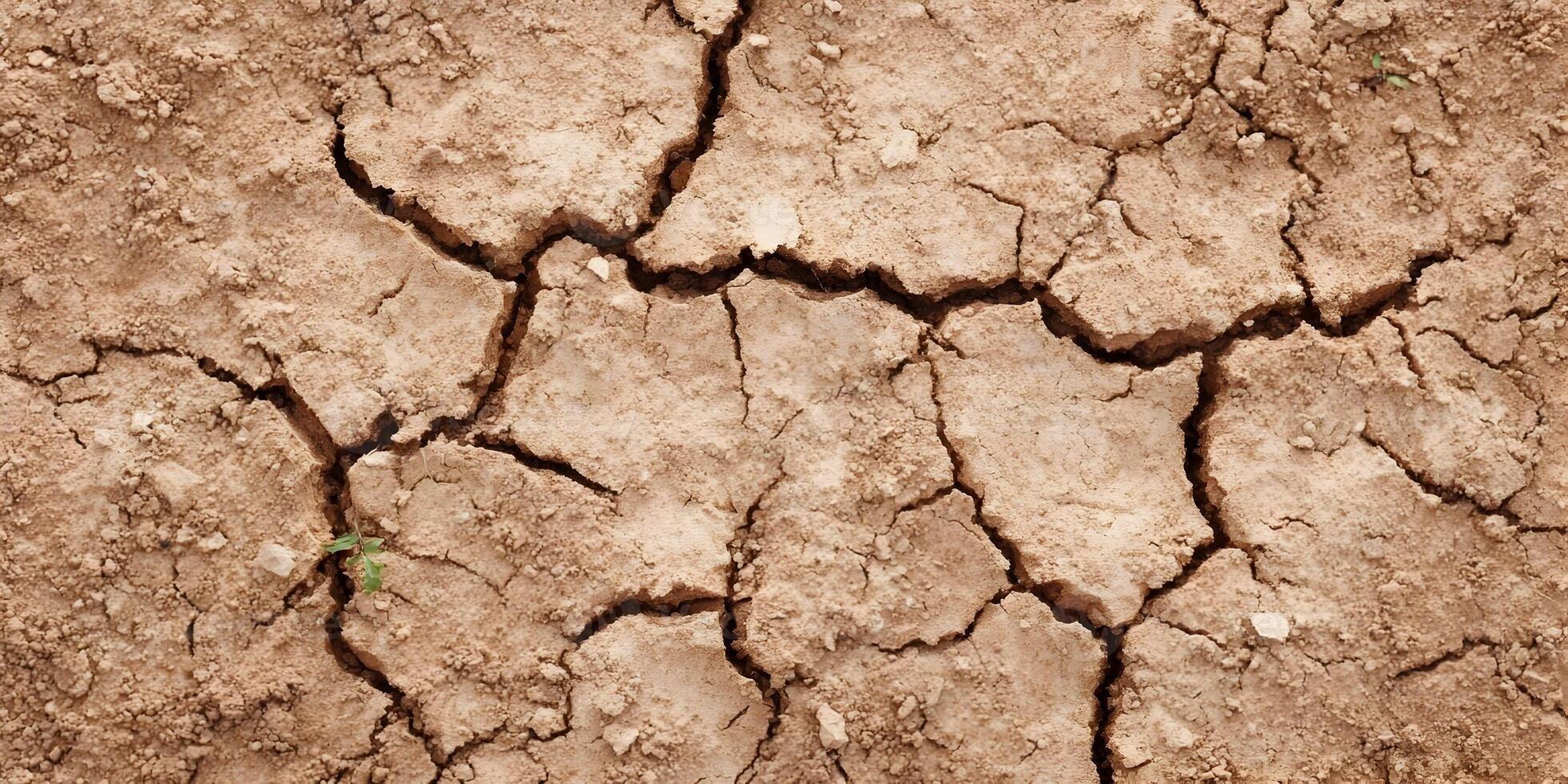 Dry Cracked Earth Ground Texture Brown Soil Drought photo
