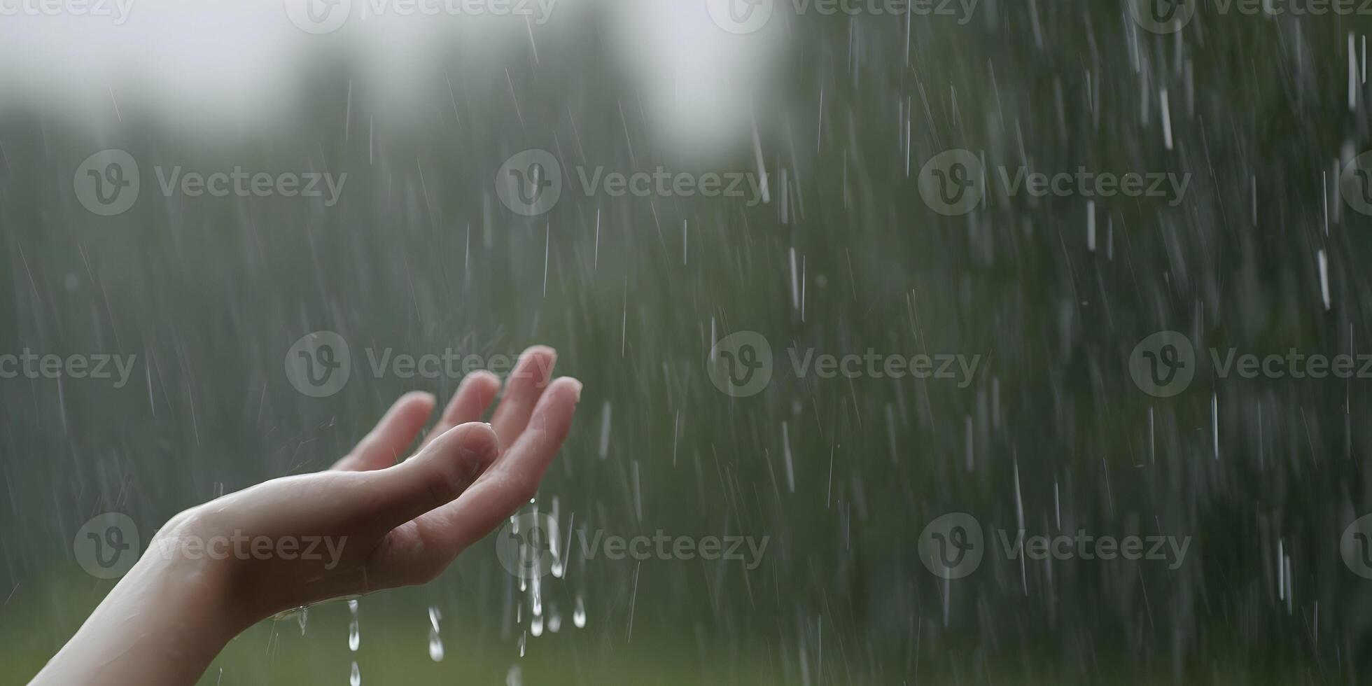Hand Catching Raindrops Nature Photography Rainy Day Image photo