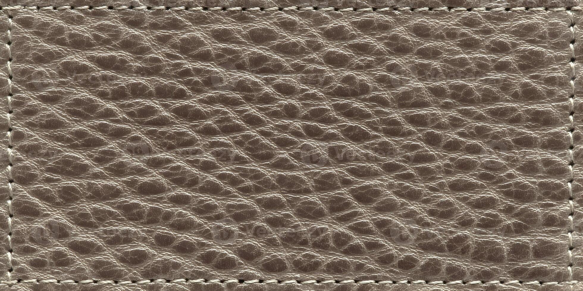 Grey Leather Texture Sample with Stitched Border Detailed Closeup Gray Material Background photo