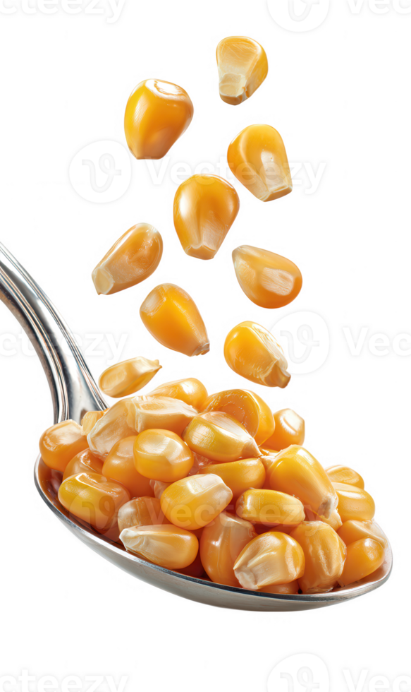 Close up of yellow corn kernels falling from above and in a metal spoon on a transparent background png