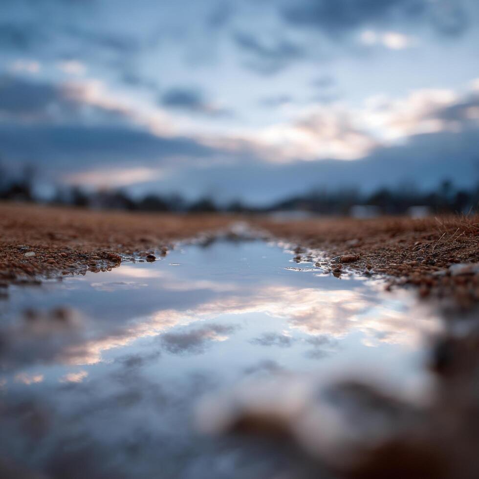 A Small Natural Mirror Found In Puddle Reflections photo