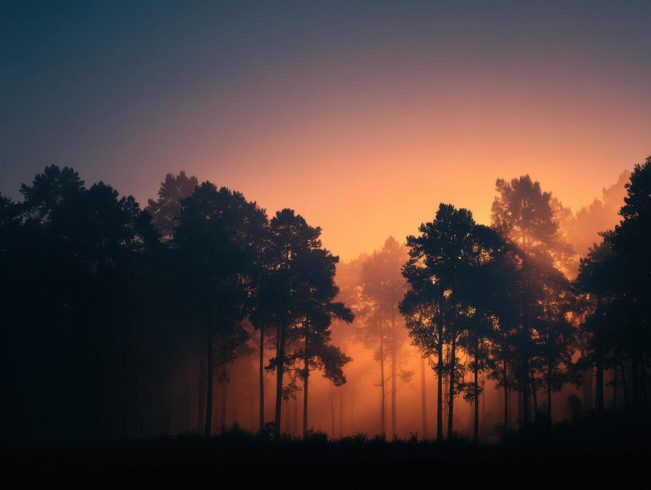 An Enigmatic and Misty Dawn Over a Calm Forest photo