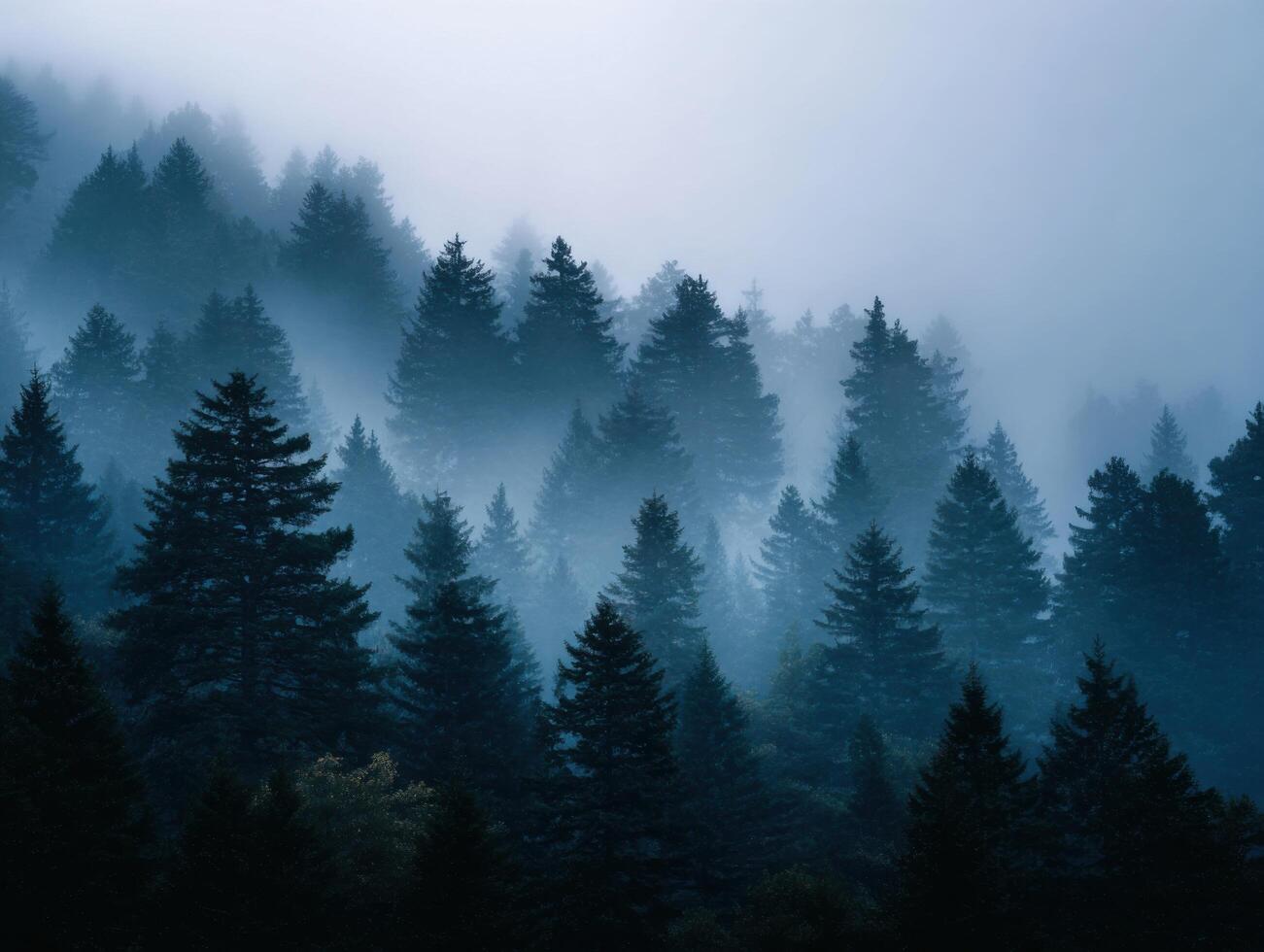 Enigmatic Fog That Shrouds A Peaceful Woodland photo