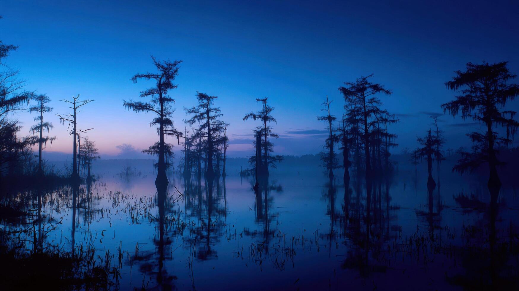 Another Ethereal Blue Sunset In A Mystical Swamp photo