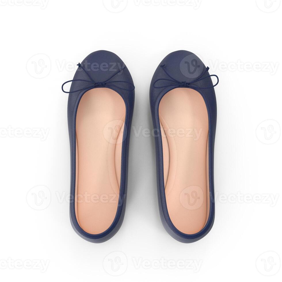 Navy Blue Ballerina Flats Stylish Womens Shoes, 3d, white background photo