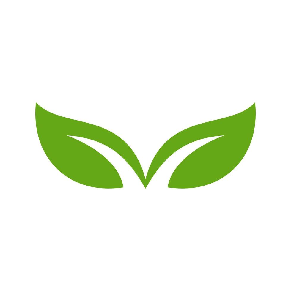 Natural green two leaf branching icon vector
