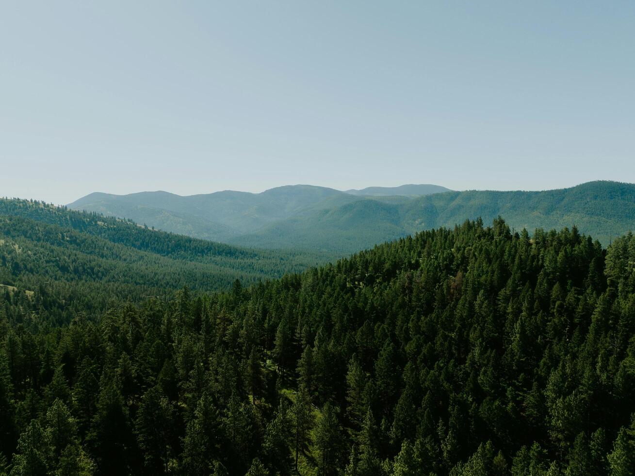 A view of the mountains and forest from above photo