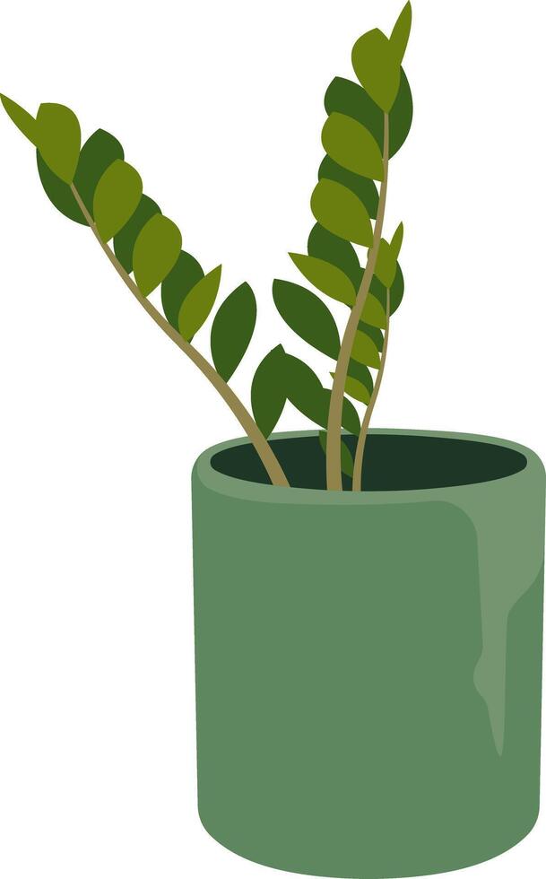 ZZ Plant in Green Pot vector