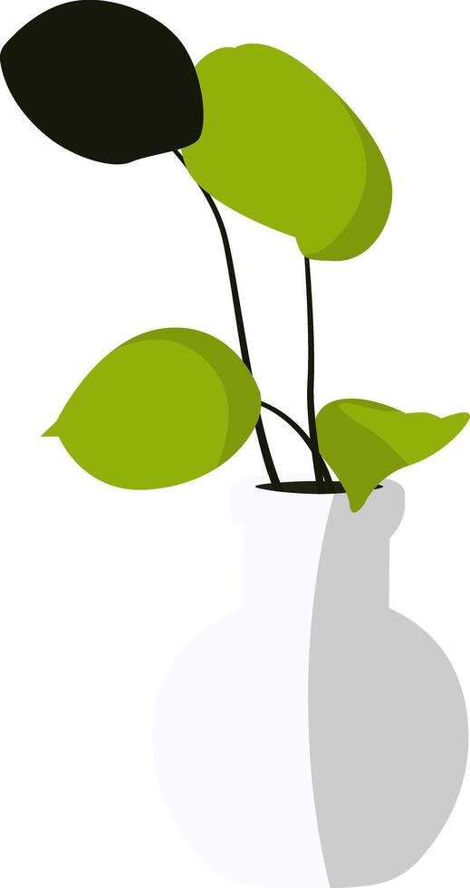Potted Plant with Green Leaves in White Vase vector