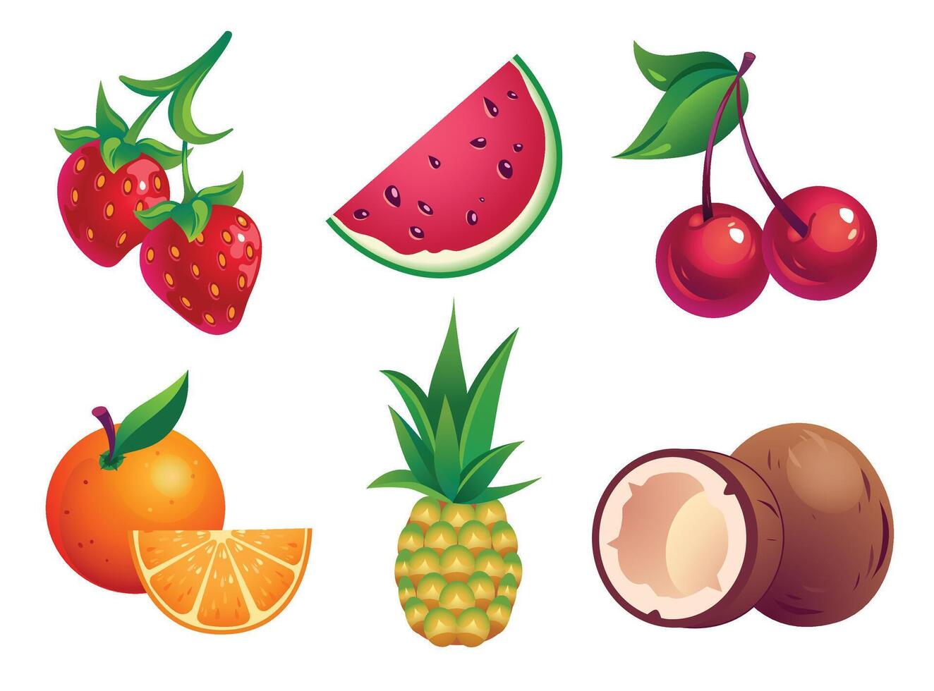 Fruits and Berries colorful illustration set vector
