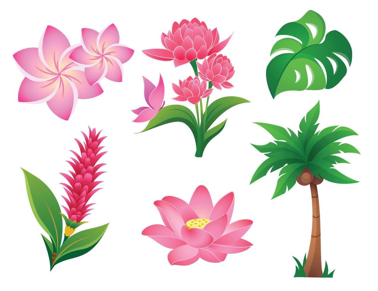 Tropical Plants Flowers Colorful art set vector