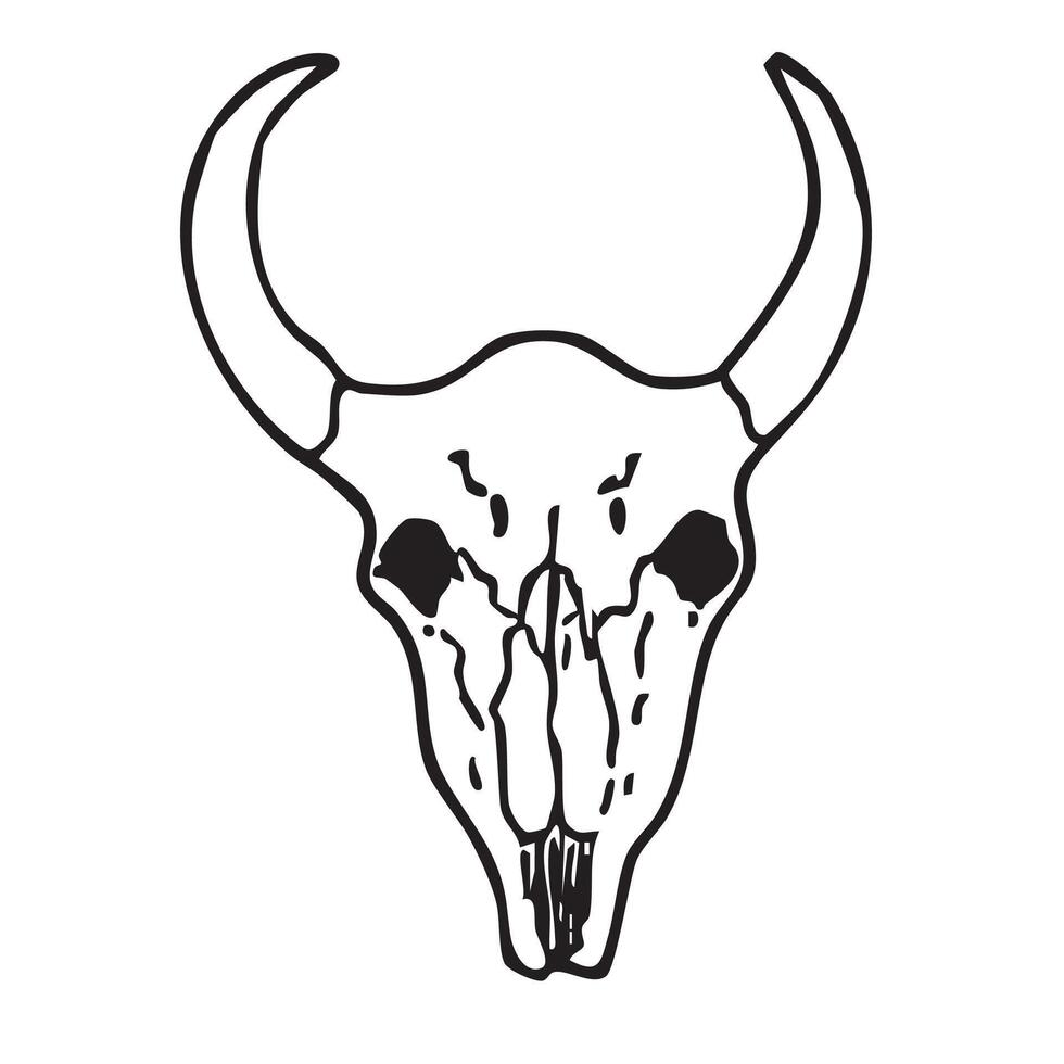 Hand drawn western doodle of bull's skull vector