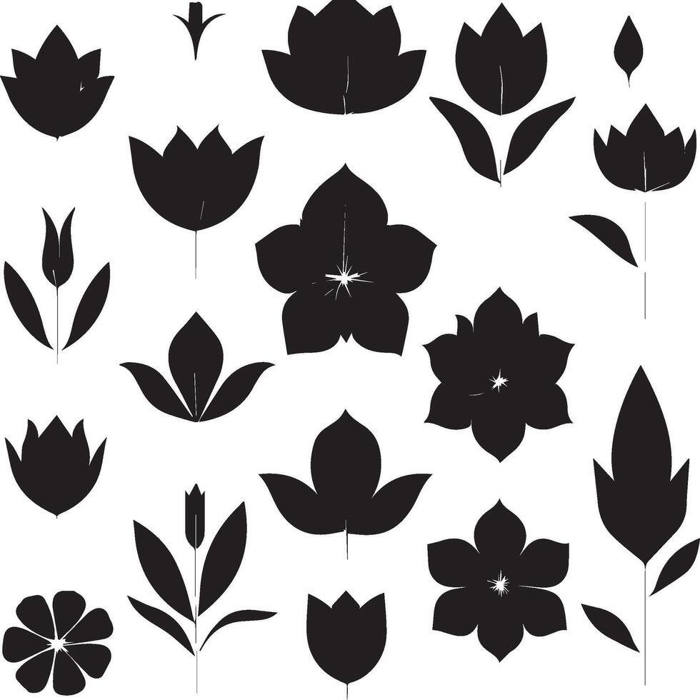 black and white flowers and leaves set vector