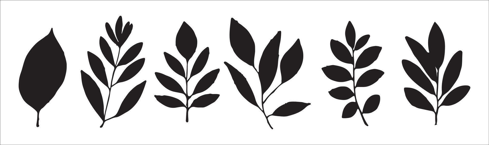 a set of leaves silhouettes on a white background vector