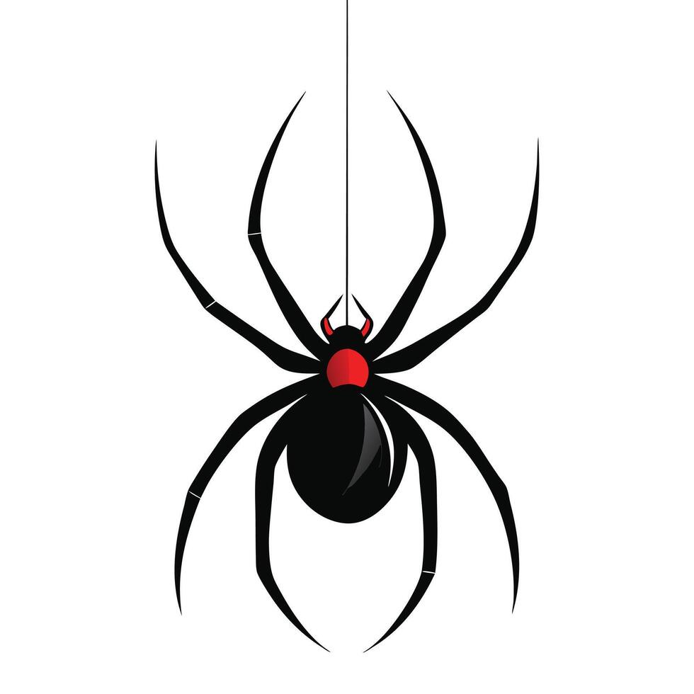 Creepy black widow spider on a web, an isolated arachnid of nature, perfect for a scary illustration vector