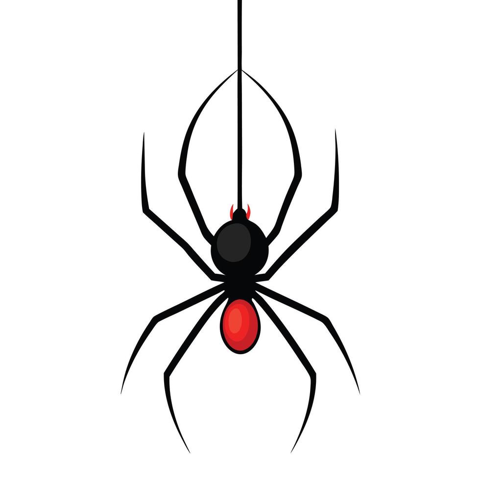 Creepy black widow spider on a web, an isolated arachnid of nature, perfect for a scary Halloween illustration vector