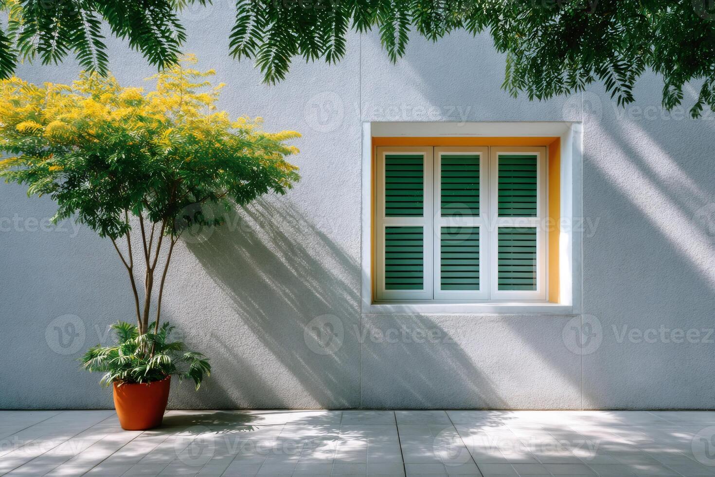 Yellow flowering tree near window with green shutters casting shadows on gray wall photo