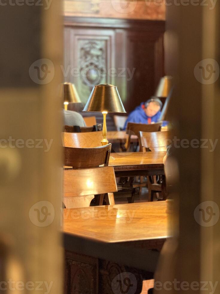 Student working in library at day, usa library photo