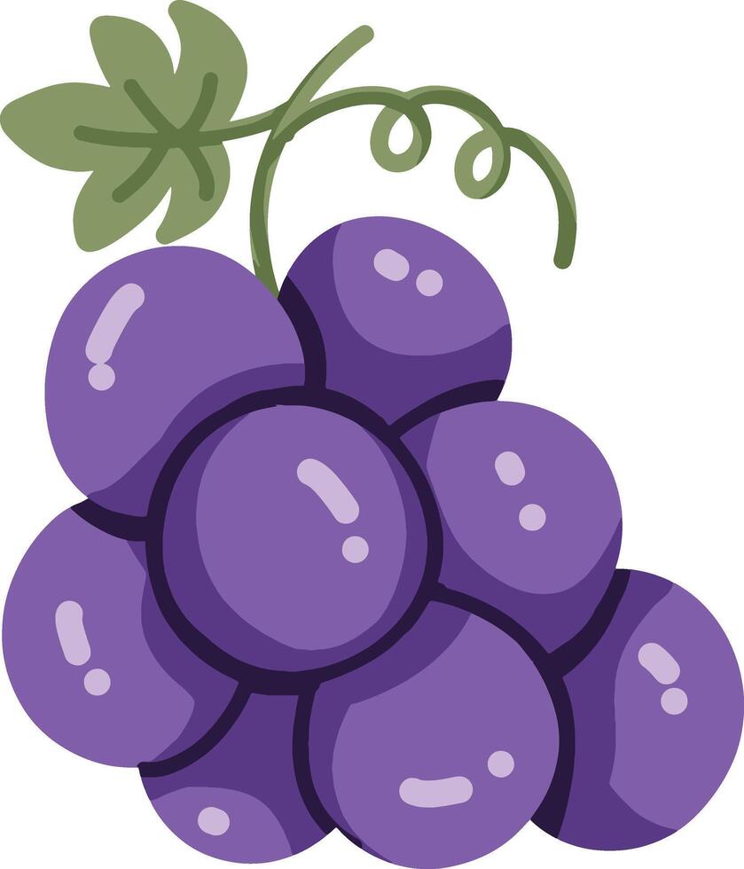 Illustration of a Bunch of Ripe Purple Grapes with Green Leaf vector