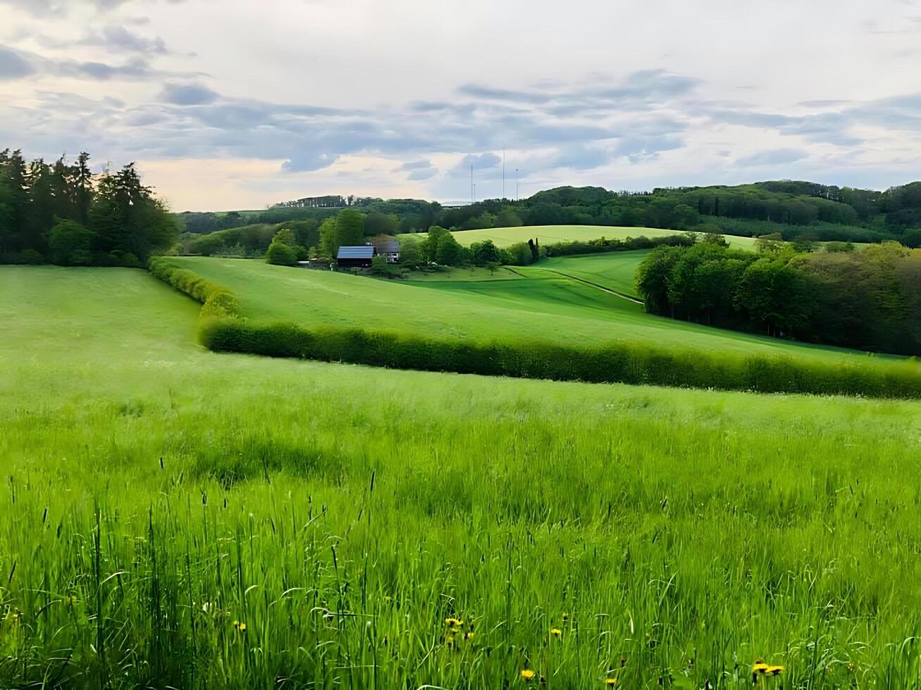 A green field with a barn and trees in the distance photo