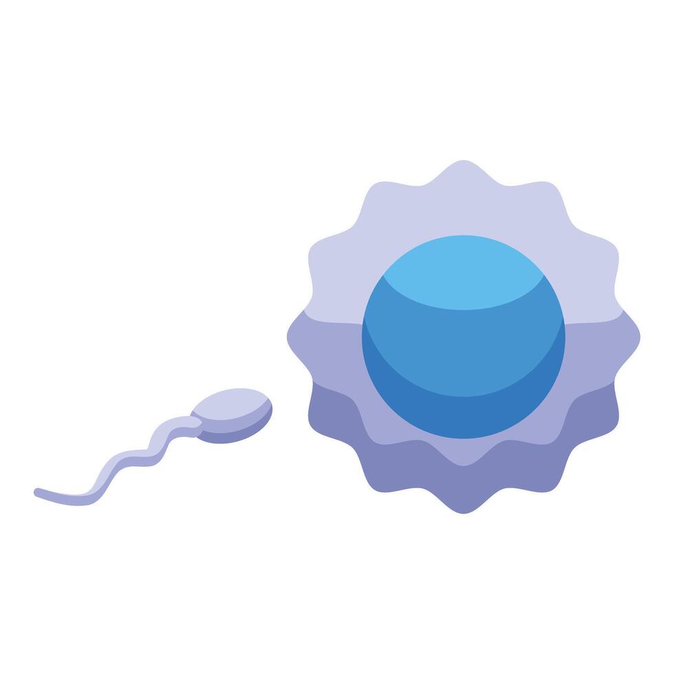 Spermatozoon swimming towards egg cell for fertilization process vector