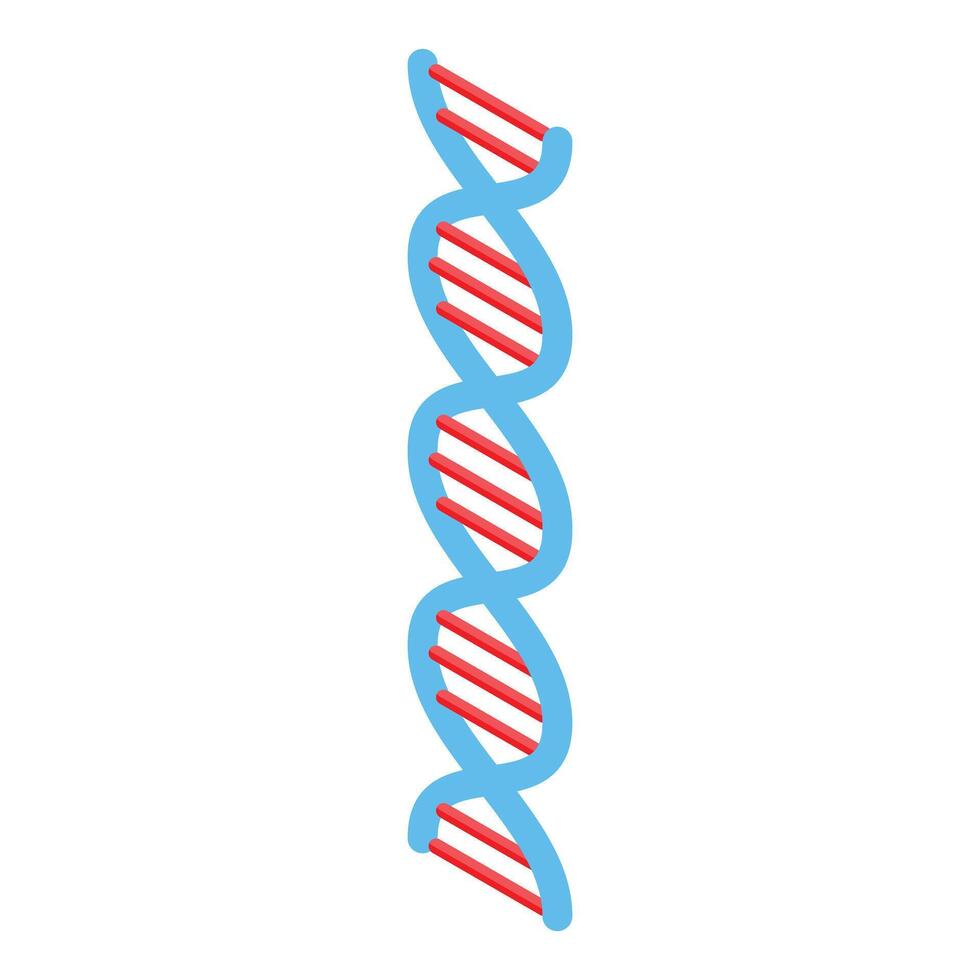 Dna structure representing genetic code in isometric view vector