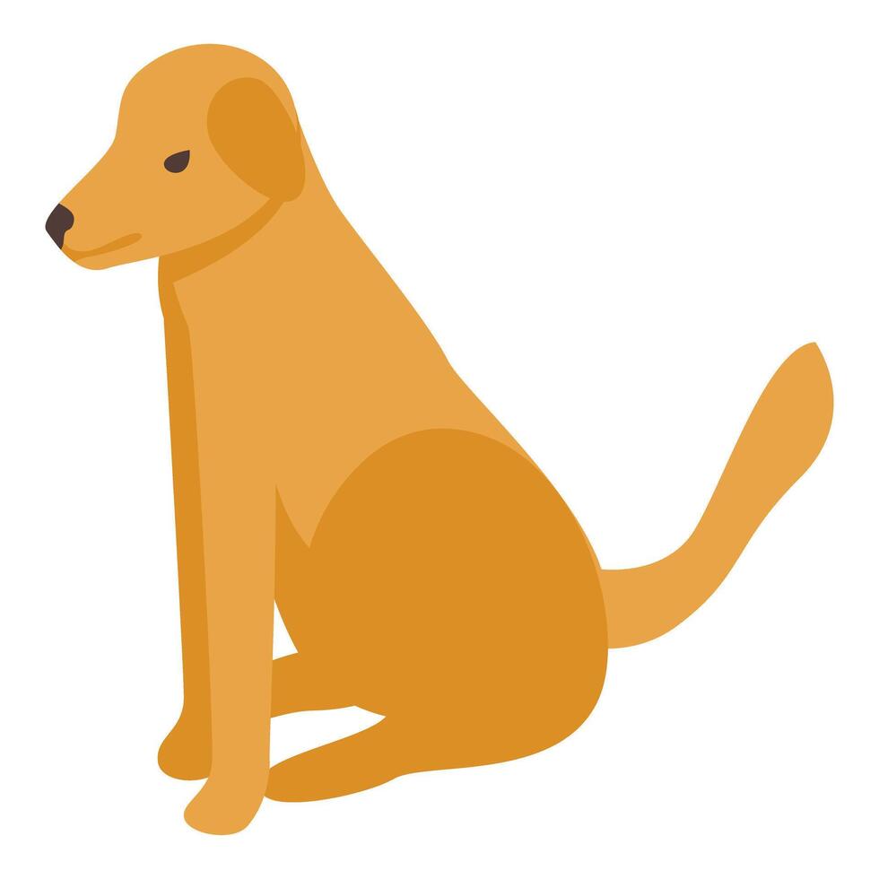 Golden retriever dog sitting and looking away vector