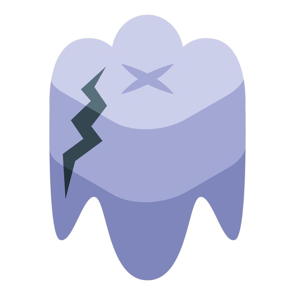 Damaged tooth showing crack and cross shaped fracture lines vector