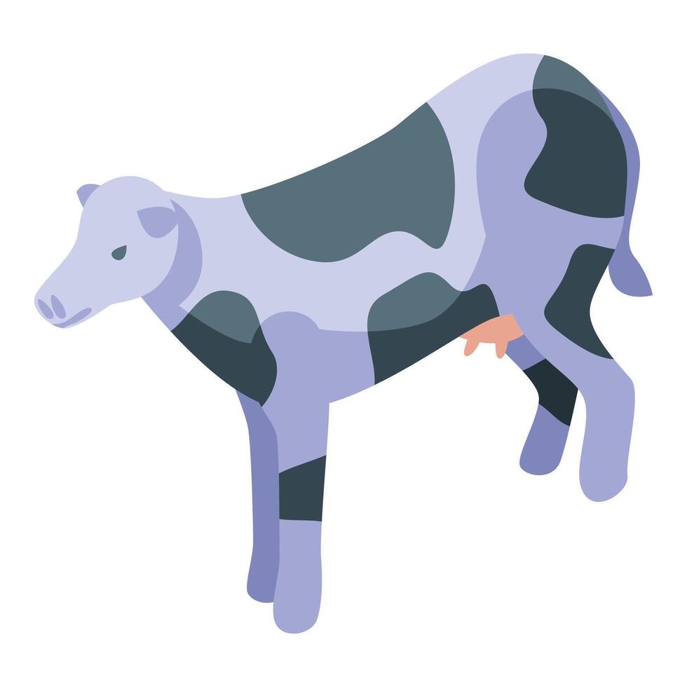 Spotted dairy cow standing in isometric view vector