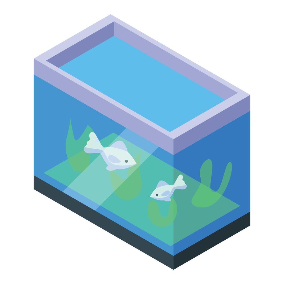 Two white fishes swimming in a modern rectangular aquarium with green seaweed plants vector