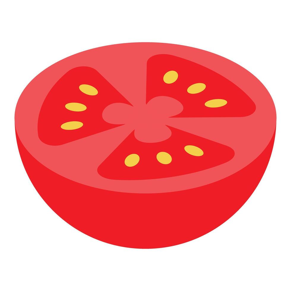 Fresh red tomato slice showing seeds and pulp vector