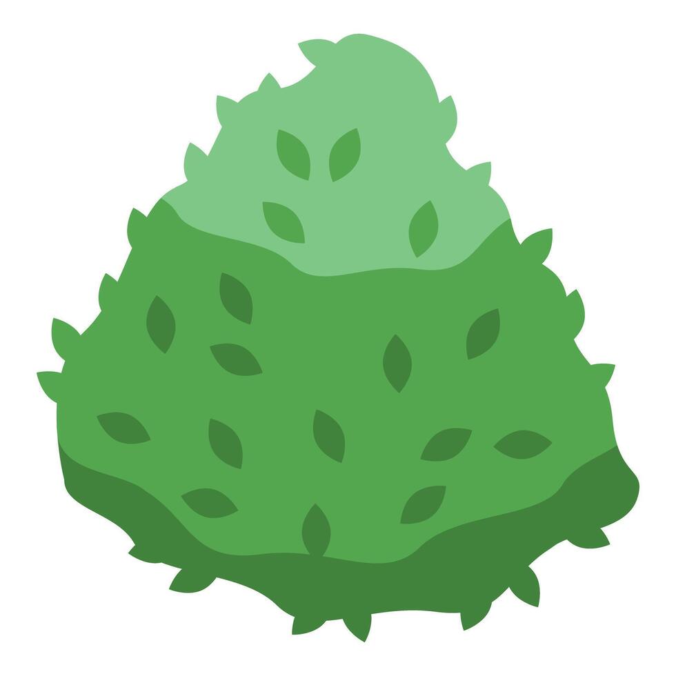 Green bush growing with lush foliage in nature vector