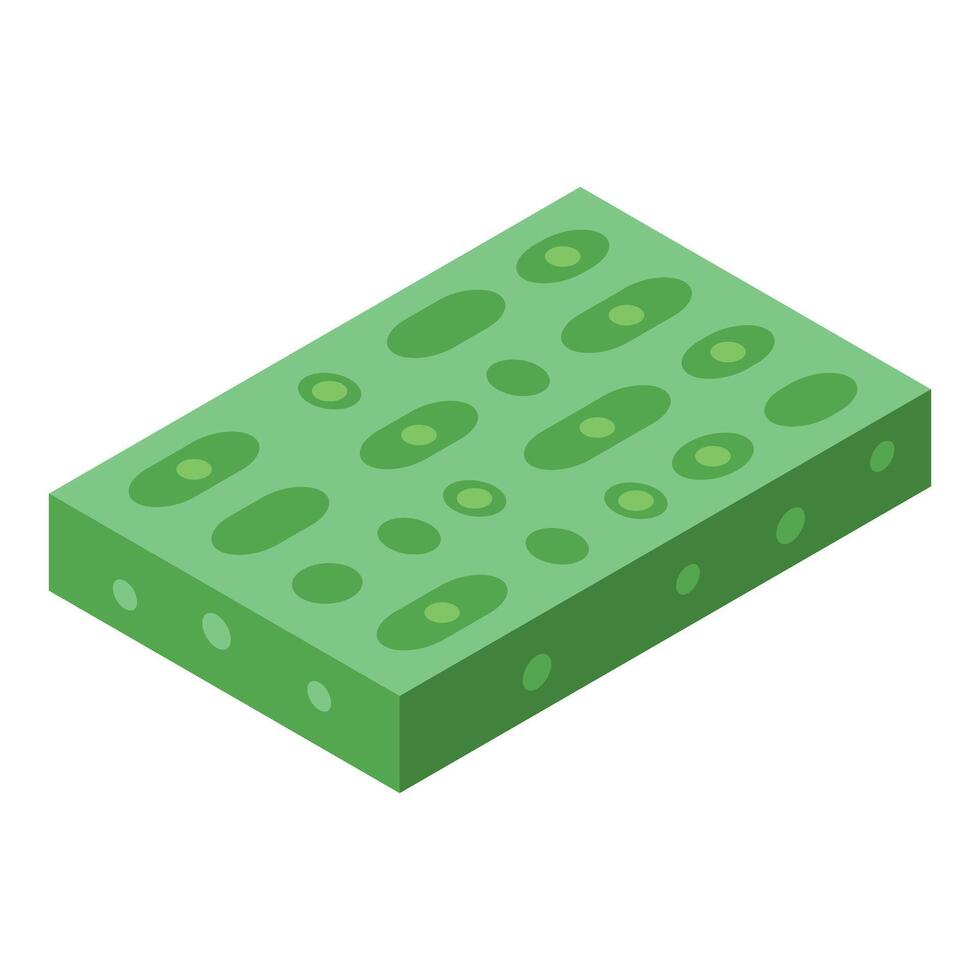 Green chlorophyll cells showing photosynthesis process biology vector