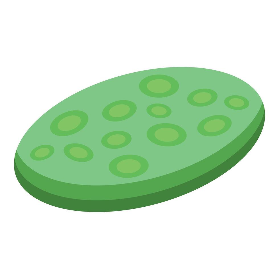 Green oval object showing an irregular surface with circular protrusions vector