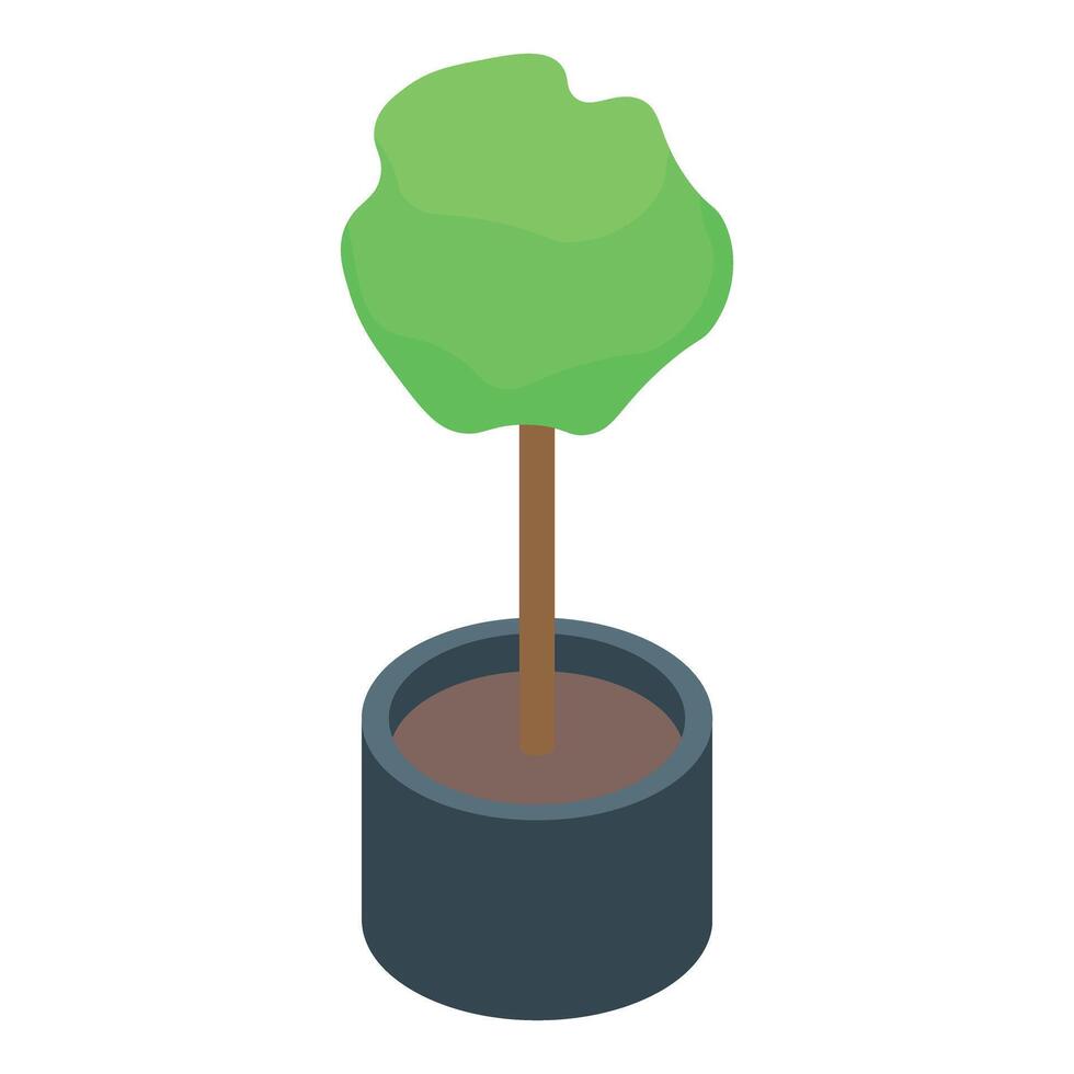 Small green tree growing in a pot isometric view vector