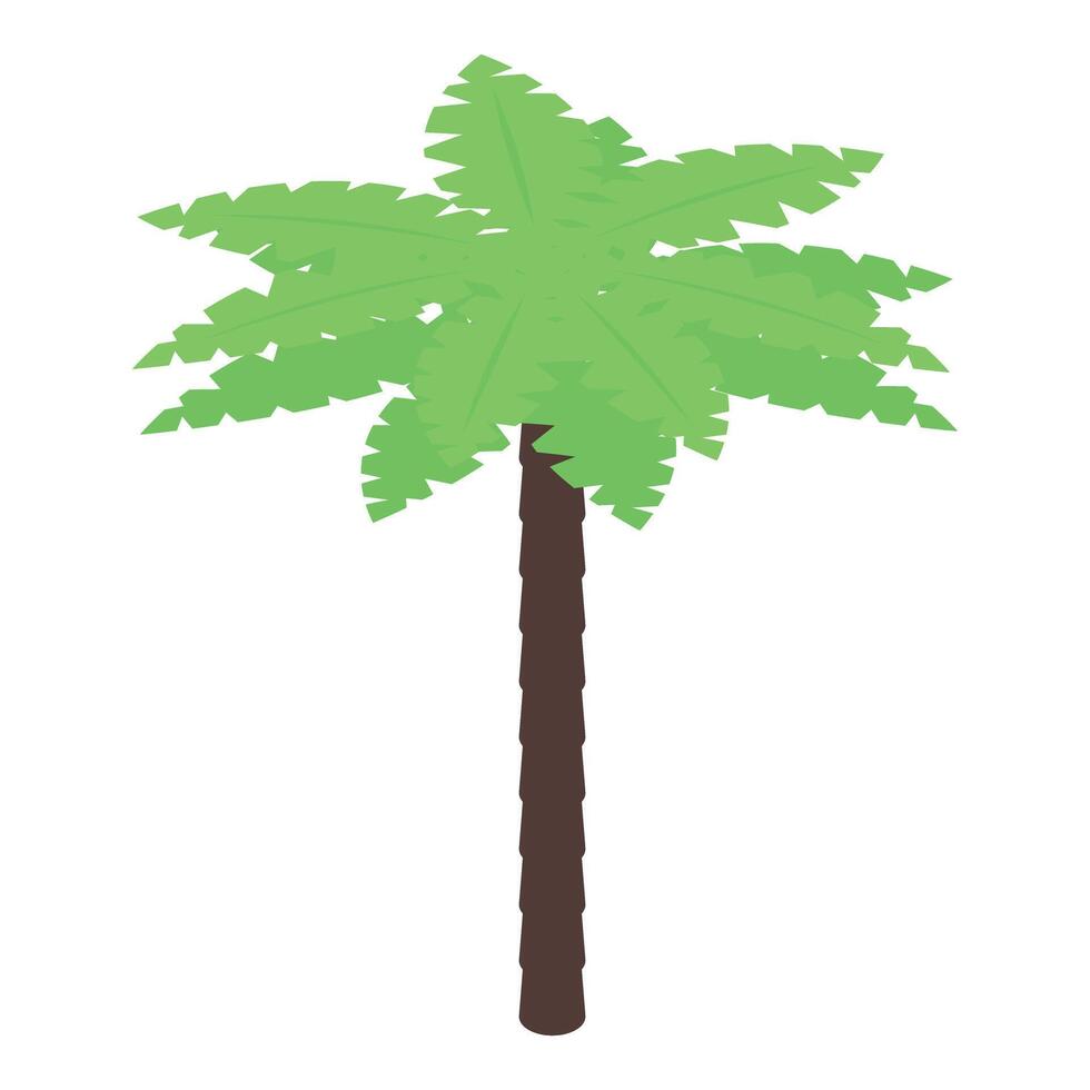 Palm tree illustration vector