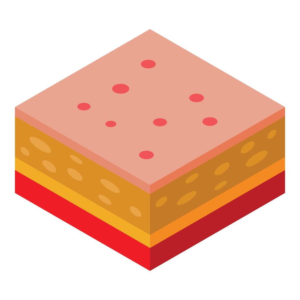 Skin layers showing epidermis, dermis, and hypodermis with acne vector