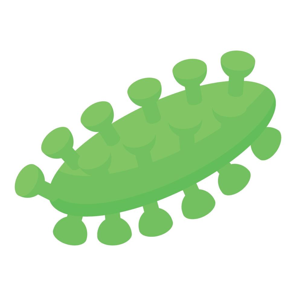 Green virus with spikes showing an infection pathogen vector