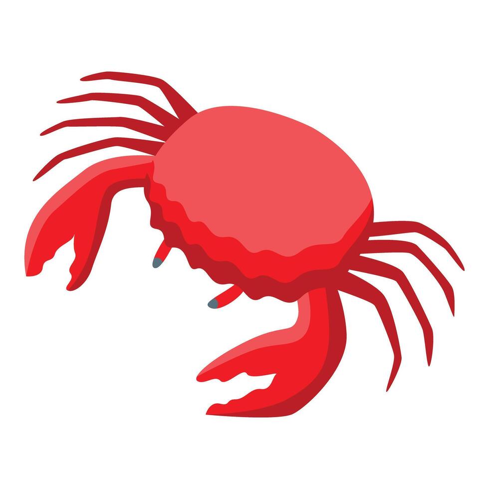 Red crab showing claws and legs on white background vector